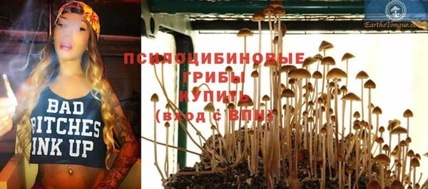 каннабис Дмитров