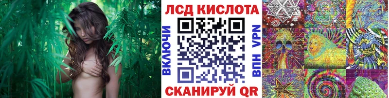 Марки N-bome 1500мкг  Новомосковск 